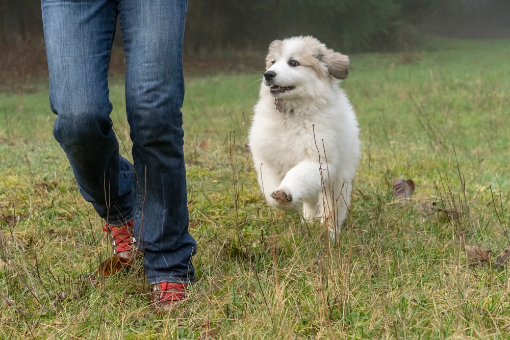 running