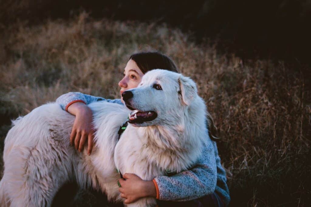 A woman hugging a Great Pyrenees