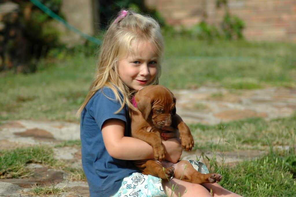 Girl carrying a Rhodesian Ridgeback puppy