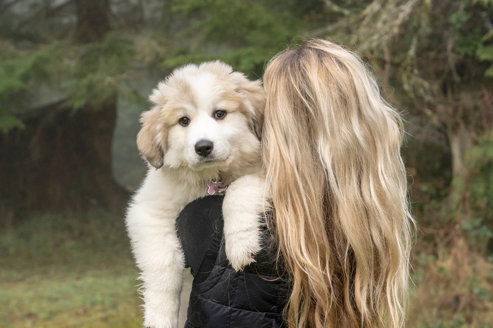 Girl hugging a Great Pyrenees