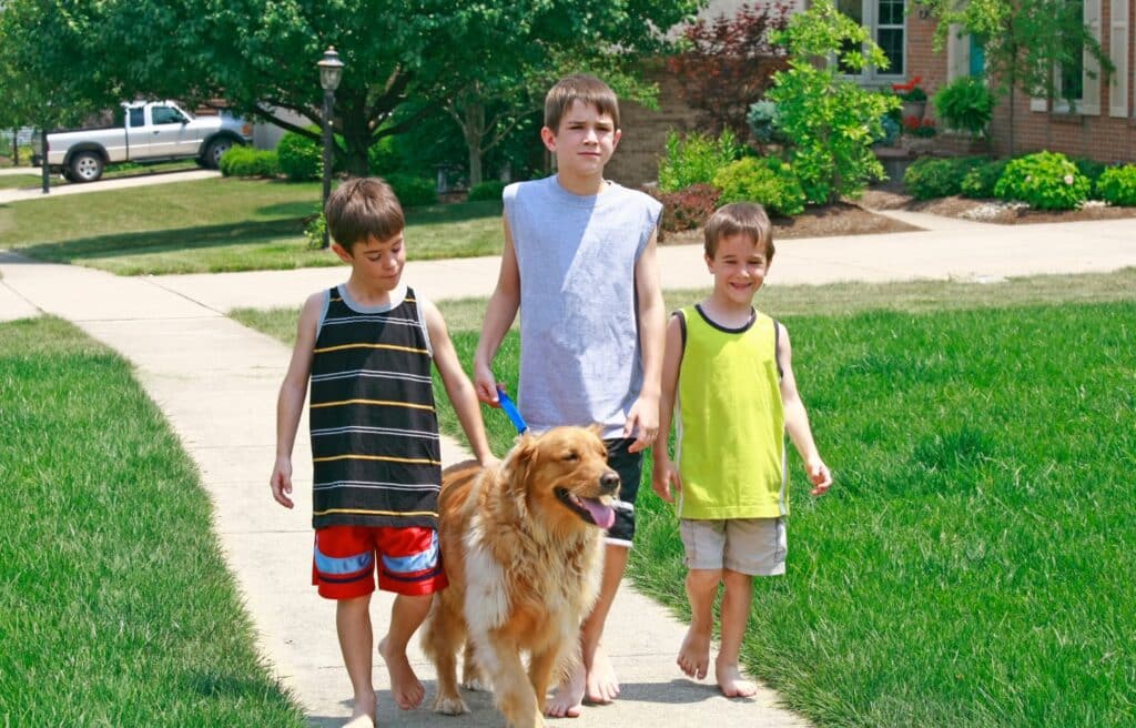 Golden Retriever with boys