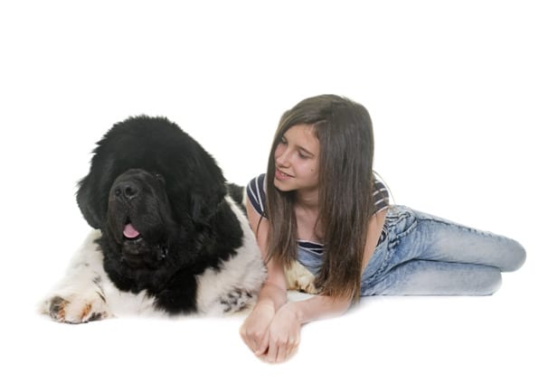 A girl and a Newfie