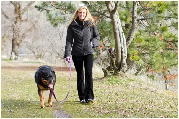 Girl walks with a Rottweiler