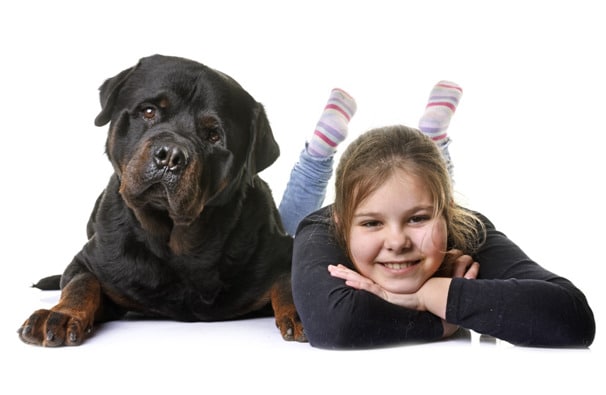 Rottweiler with girl