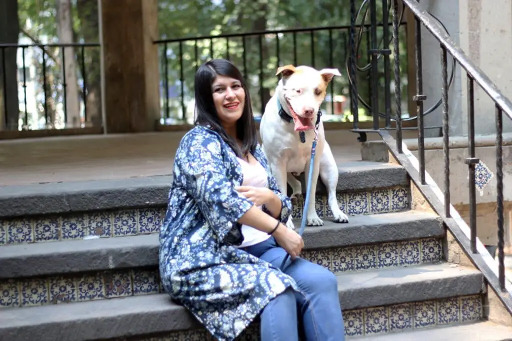 Pitbull relaxing with woman