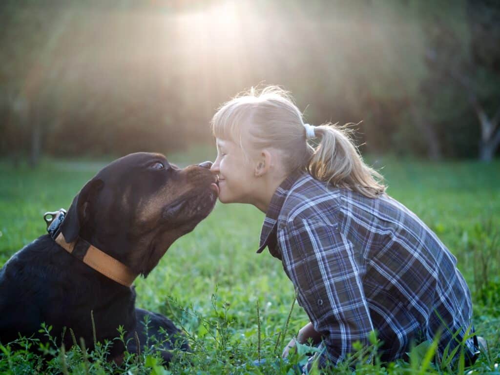 Rottweiler with girl