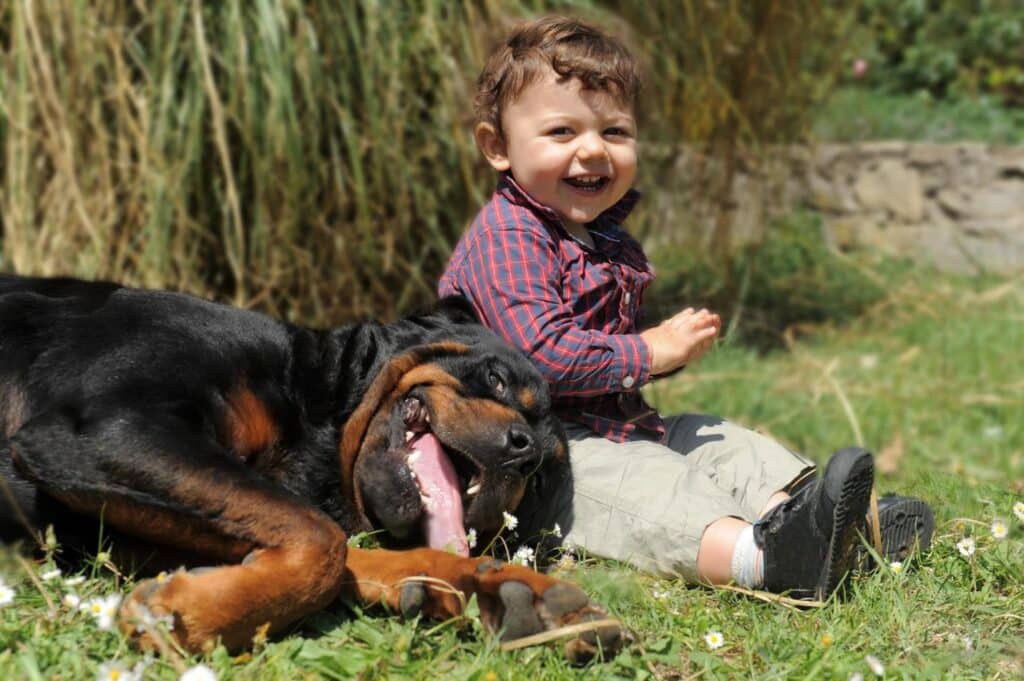 Rottweiler with little boy