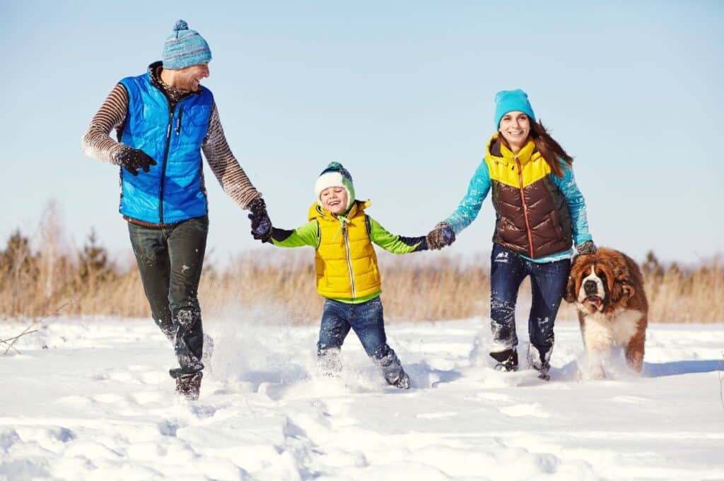 St Bernard dog with boy and parents