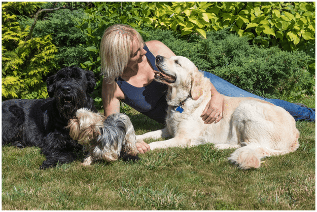 A lady with Giant Schnauzer and other dogs
