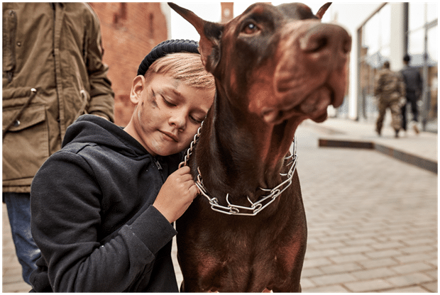 Doberman sitting with a young boy