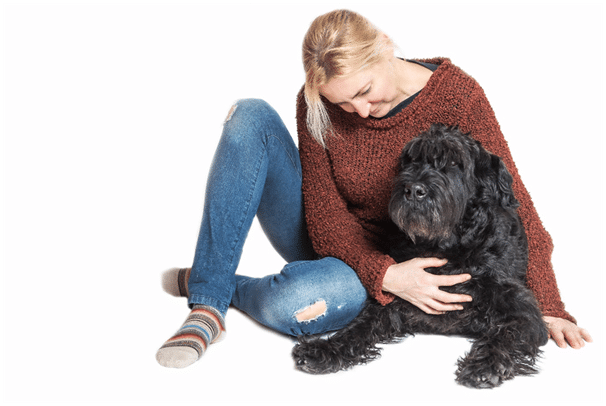 Giant Schnauzer with owner