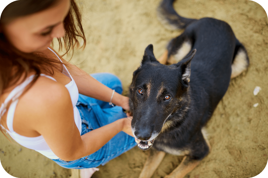 Girl bonding with German Shepherd