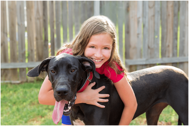 Great Dane with girl