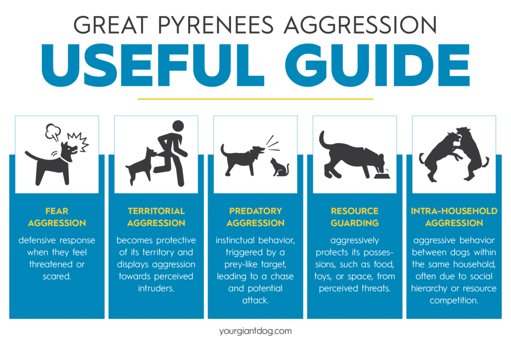 Great Pyrenees Aggression - Useful Guide