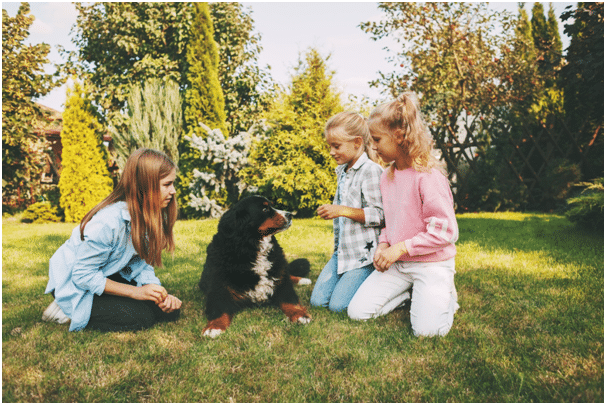 Dog sitting with children