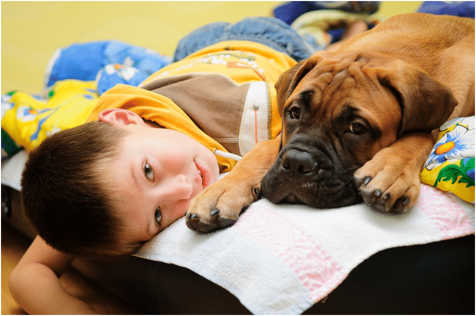 A baby and a Bullmastiff