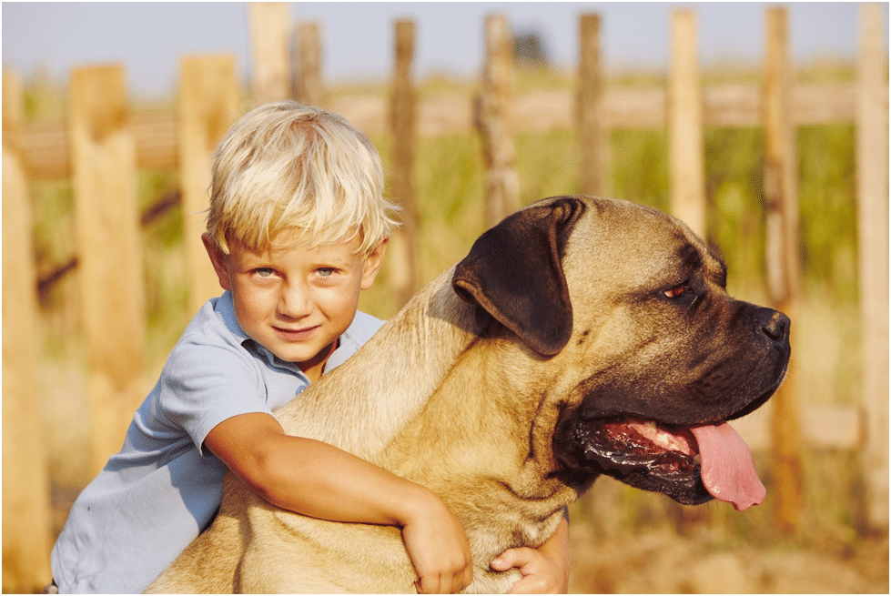Kid with his pet dog