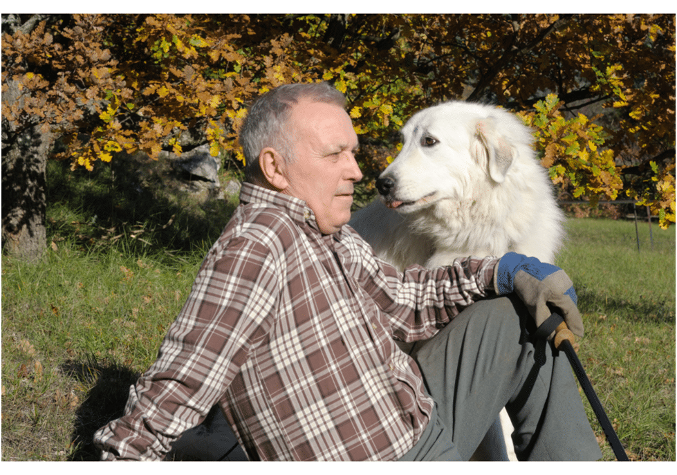 A man sitting with a Great Pyrenees in a field