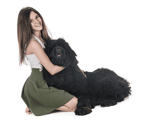 A girl with Newfoundland Dog