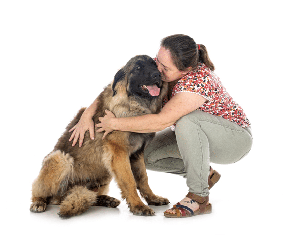 Leonberger with her companion
