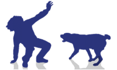 Rottweiler – Aggression Levels